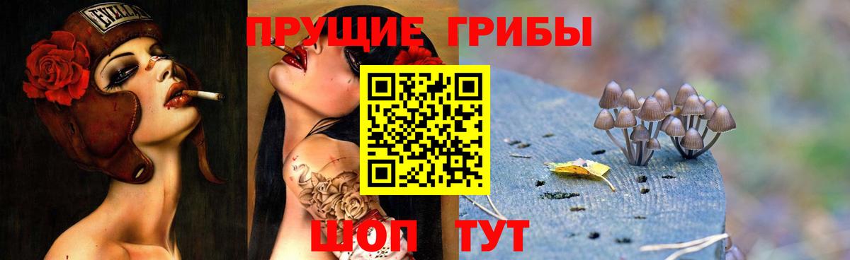 Галлюциногенные грибы мухоморы  Вход с VPN  Волгодонск  Галлюциногенные грибы Psilocybe 